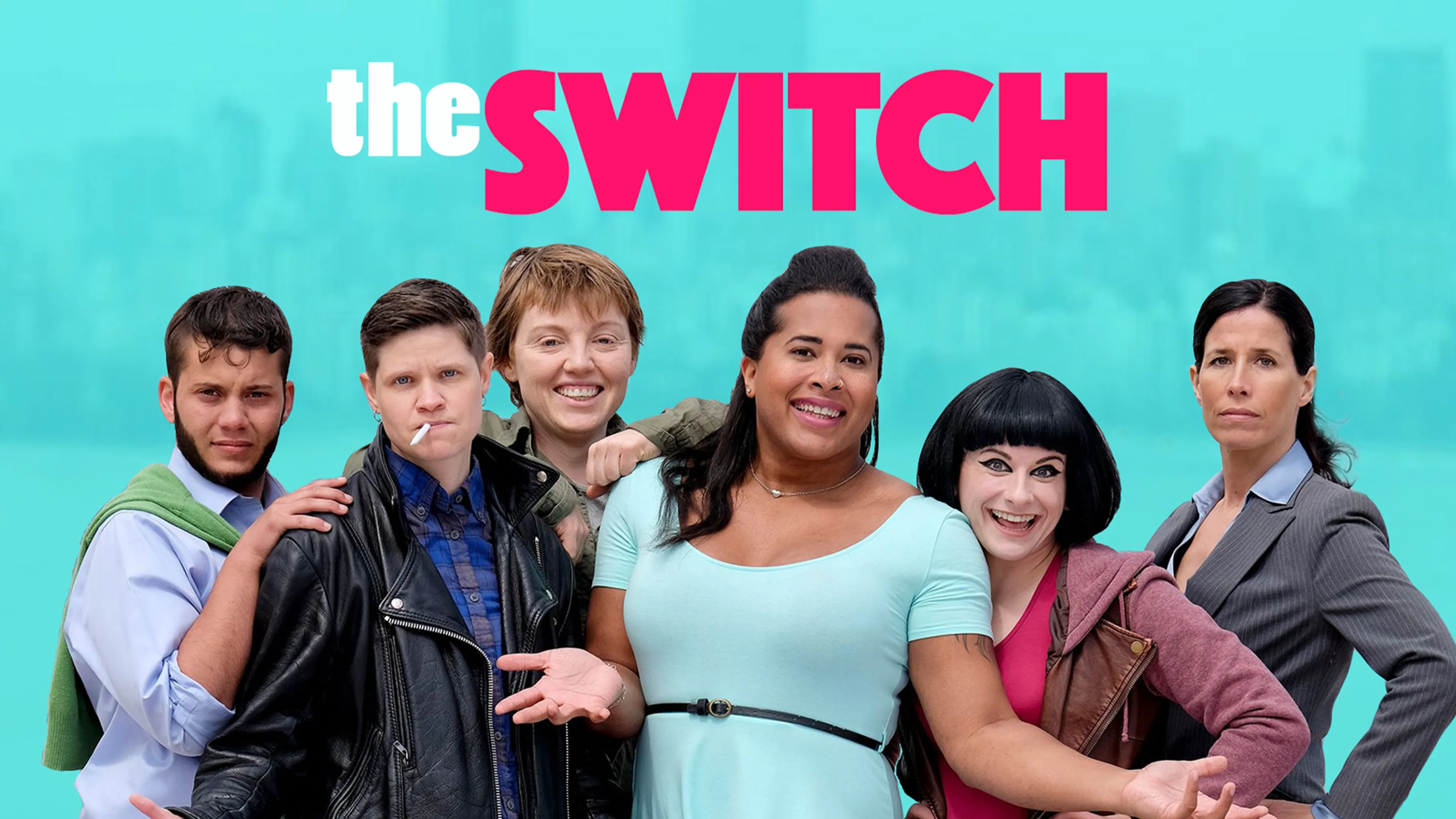 The Switch poster